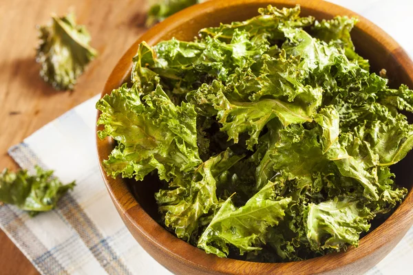 Homemade Organic Green Kale Chips — Stock Photo, Image