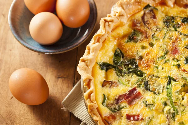 Espinafre caseiro e Quiche de ovo de bacon — Fotografia de Stock