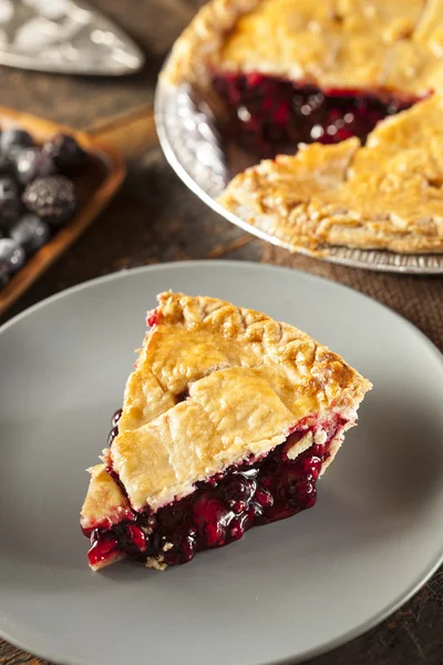 Homemade Organic Berry Pie — Stock Photo, Image