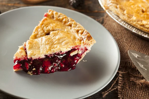 Pie Berry Organik Buatan Rumah — Stok Foto