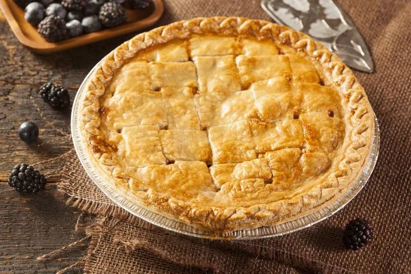 Homemade Organic Berry Pie — Stock Photo, Image