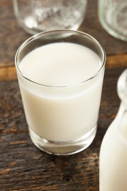 Beyaz soğuk organik süt yenileniyor
