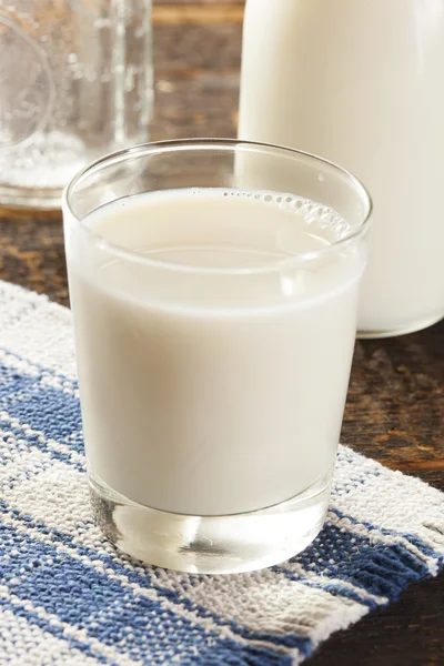 Verfrissende witte koude biologische melk — Stockfoto