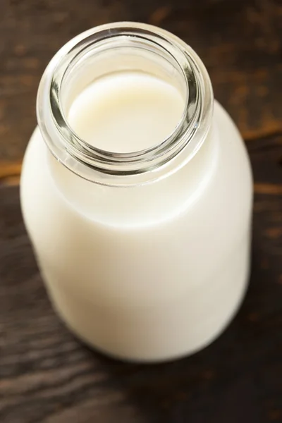 爽やかな白の冷たい有機牛乳 — ストック写真