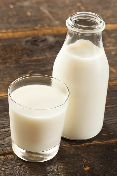 Refreshing White Cold Organic Milk — Stock Photo, Image