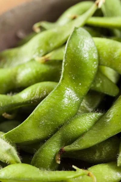 Edamame verde biologico con sale marino — Foto Stock