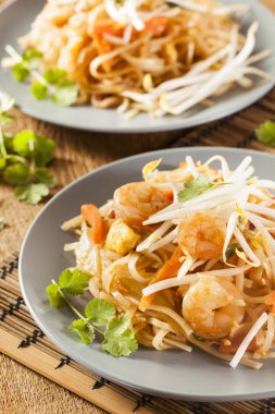 ev yapımı Asya pad Tay