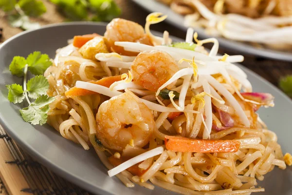 Homemade Asian Pad Thai — Stock Photo, Image