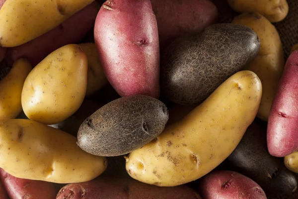 Сирий органічний пальчиковий картопляний медлі — стокове фото