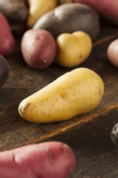 Puré de patata alevines orgánicos crudos — Foto de Stock