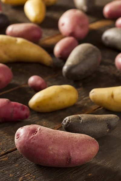 Сырой органический картофельный попурри — стоковое фото