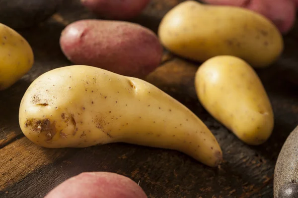 Puré de patata alevines orgánicos crudos — Foto de Stock