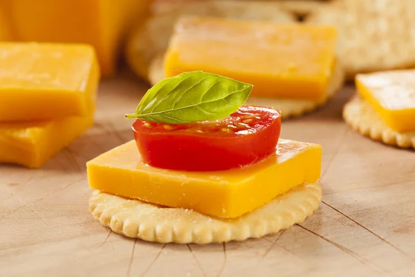 Chedder sajt és előétel Cracker — Stock Fotó