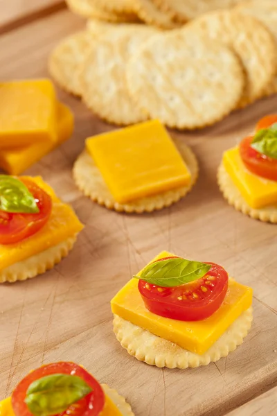 Chedder sajt és előétel Cracker — Stock Fotó