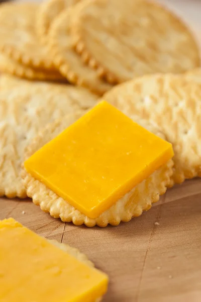 Aperitivo de queijo e biscoito — Fotografia de Stock