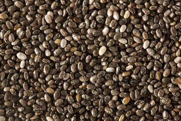 Organické suché chia semen — Stock fotografie