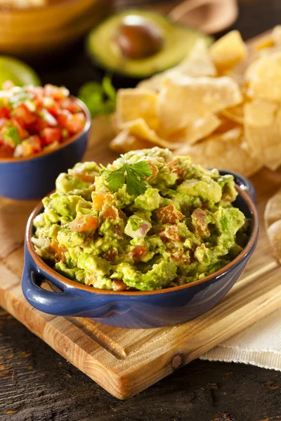 Guacamole orgânico caseiro e chips de tortilla — Fotografia de Stock