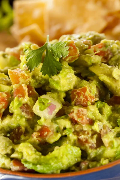 Házi szerves Guacamole és Tortilla Chips — Stock Fotó