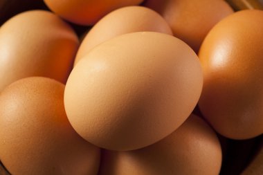 Organik kafes ücretsiz kahverengi yumurta