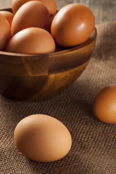 Szerves Cage ingyenes barna tojás — Stock Fotó
