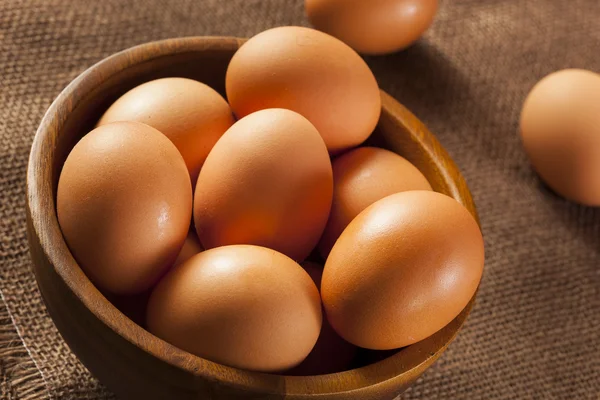 Ekologisk bur bruna ägg — Stockfoto
