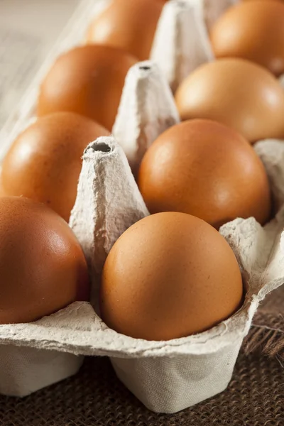 Organische kooi gratis bruin eieren — Stockfoto