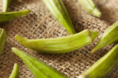 organik yeşil bamya sebze