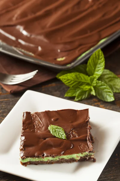Homemade Chocolate and Mint Brownie — Stok fotoğraf