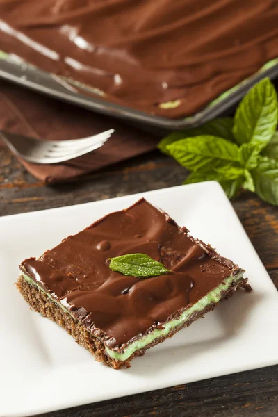 Homemade Chocolate and Mint Brownie — Stock Photo, Image