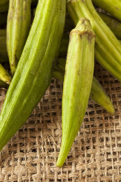 Biologische groene okra plantaardige — Stockfoto