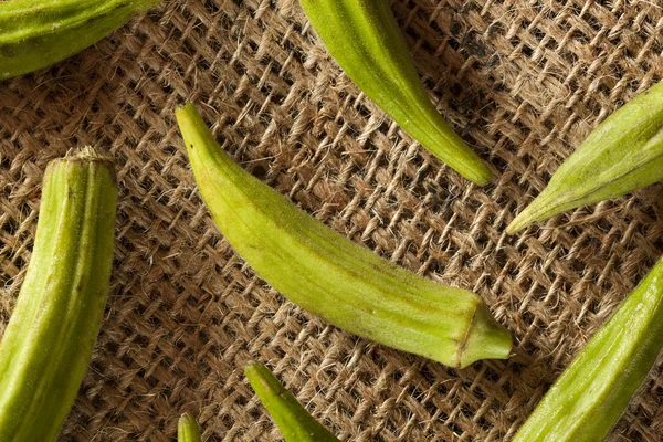 Verdura verde orgânica Okra — Fotografia de Stock