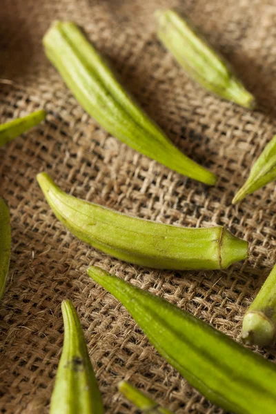 Biologische groene okra plantaardige — Stockfoto