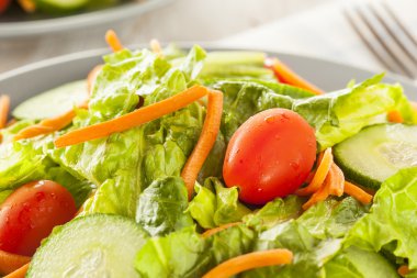 taze organik yeşil salata