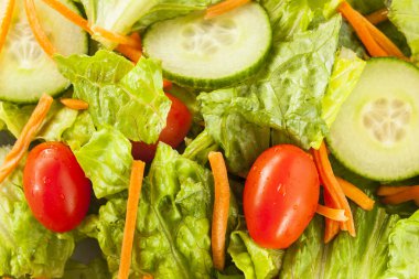 taze organik yeşil salata