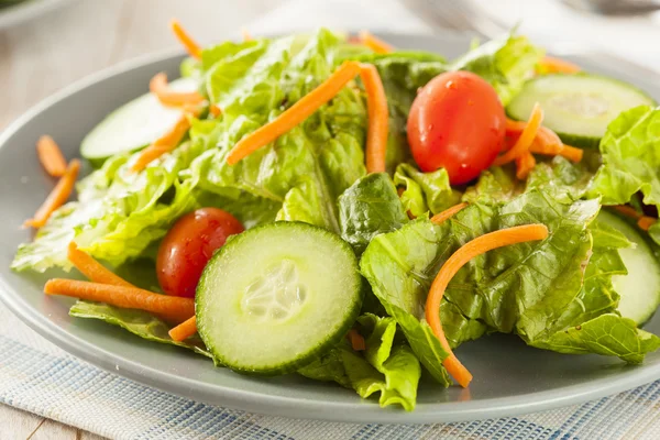 Frischer grüner Bio-Salat — Stockfoto