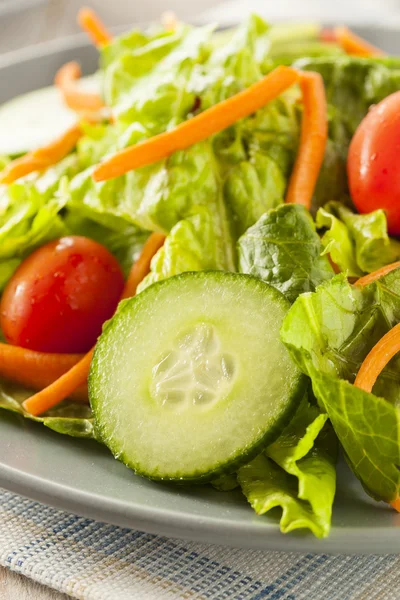 Fresh Organic Green Salad — Stock Photo, Image