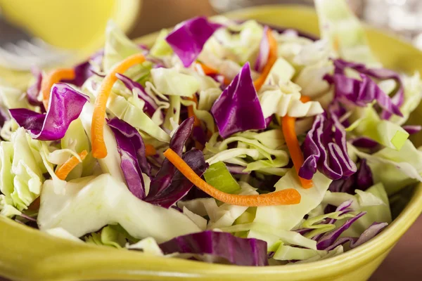 Rendelenmiş lahana ve marul ev yapımı lahana salatası — Stok fotoğraf