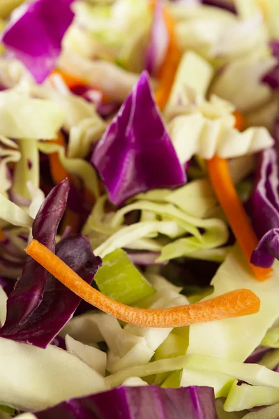 Házi káposztasaláta reszelt káposztát és saláta — Stock Fotó