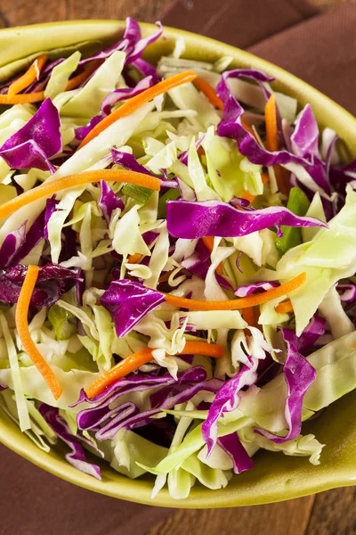 Házi káposztasaláta reszelt káposztát és saláta — Stock Fotó