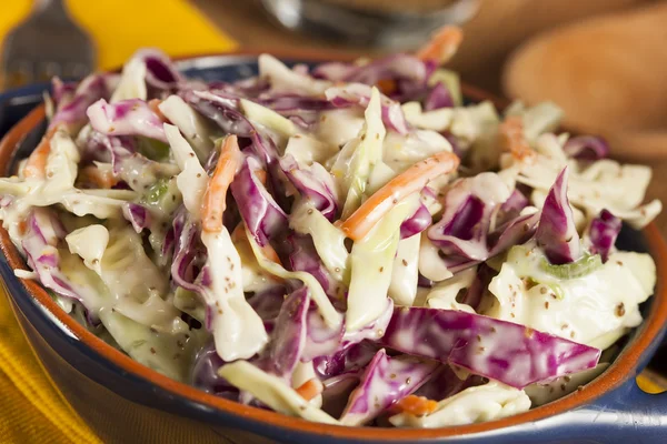 Hausgemachter Krautsalat mit Kraut und Salat — Stockfoto