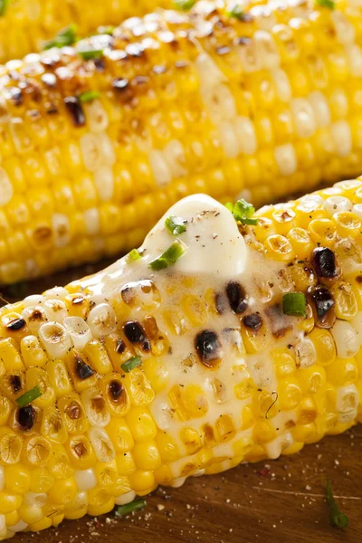 Organic Grilled Corn on the Cob — Stock Photo, Image