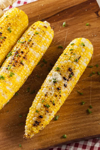 Organic Grilled Corn on the Cob — Stock Photo, Image