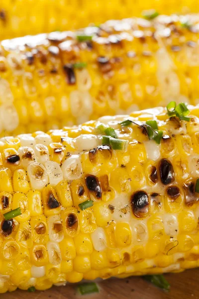 Organic Grilled Corn on the Cob — Stock Photo, Image