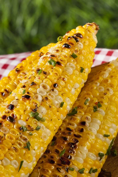 Organic Grilled Corn on the Cob — Stock Photo, Image