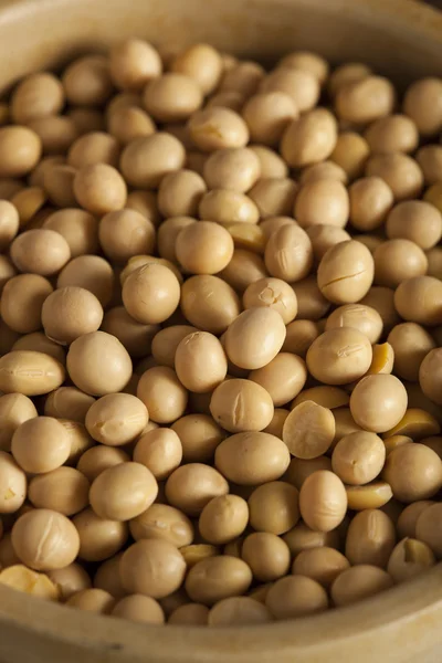 Organic Dry Soy Beans — Stock Photo, Image