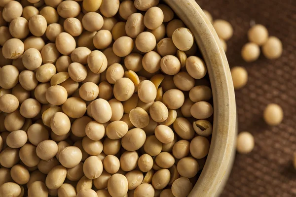 Organic Dry Soy Beans — Stock Photo, Image