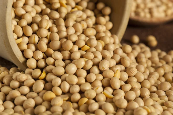 Organic Dry Soy Beans — Stock Photo, Image