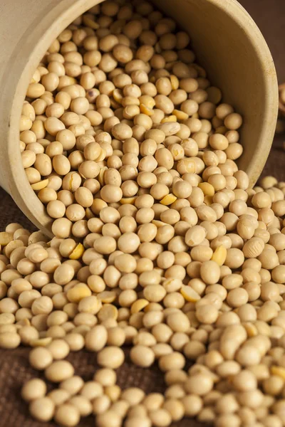 Organic Dry Soy Beans — Stock Photo, Image