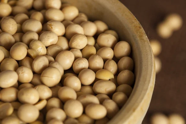 Organic Dry Soy Beans — Stock Photo, Image