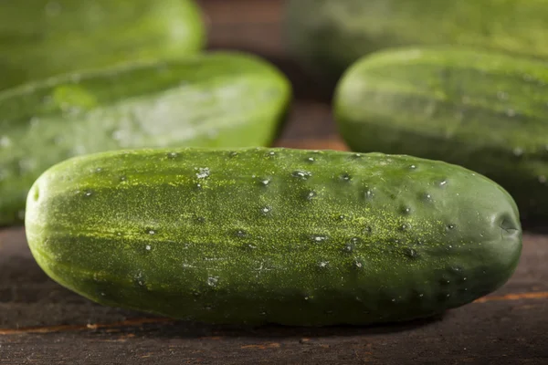 Biologische groene augurk komkommers — Stockfoto
